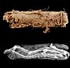 Egyptian Ptolemaic Linen Wrapped Mummified Cat w/ X-Ray