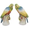 Pair Of Dresden Porcelain Parrots