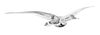 * A Daum Glass Model of a Seagull Length over wings 30 inches.