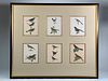 Six J.W.Hill Ornithological Prints Framed Together