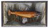 Taxidermy Brook Trout w/ Display Case