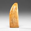 Scrimshaw Whale's Tooth 