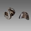 Lot of 2 Middle Eastern Islamic weights c.18th century AD. 