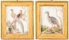 Chinese Export Watercolors of Birds in Relief, Pr