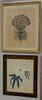 Seven Framed Botanical Engraving Lithographs, Cinera Cum Flore, Lilium Cruentum Polyanthos, Flos Solis Prolifer, two botanical prints, two botanical f