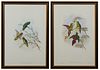 John Gould (1804-1881, English), "Psittenteles Wilhelminae," and "Nasitorna Misorensis," 20th c., pair of parakeet prints, after the 19th c. originals