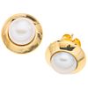 PAIR OF STUD EARRINGS IN 14K YELLOW GOLD WITH CULTIVATED PEARLS  2 white pearls. Weight: 2.4 g
