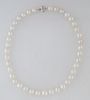 Graduated Strand of Thirty-Nine White Cultured South Seas Pearls, ranging from 10-13mm, with a 14K white gold ball clasp, L.- 17 1/2 in., with apprais