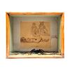 ARMANDO GARCÍA NÚÑEZ Arte objeto en cajón Con boceto firmado, taxidermia de tarántula y figura decorativa de lagartija en bronce.