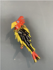 FEDERICO URIBE, Yellow Beak