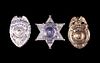 Washington State Police & Sheriff Badge Collection