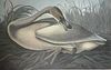 Audubon Young Trumpeter Swan by Bernard Loates