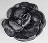Vintage Chanel Black Velvet Camellia Flower Brooch