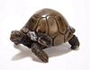 19C Japanese Okimono Netsuke Bronze Tortoise