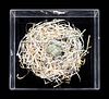 Fiona Hall
(Australian, b. 1953)
Untitled (Nest Egg)