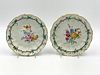Pair of Continental Hand Painted porcelain Plates, 18thc.