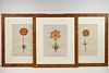 (SET OF 3) PAINTINGS OF FLOWERS SIGNED 'L.R. LAGGETTE'