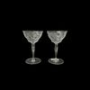 (2) Floral Etch Design Crystal Coupe Glasses