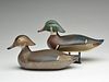 Pair of wood ducks, Madison Mitchell, Havre de Grace, Maryland.