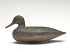 Very early black duck, Porter rig, Sandusky Ohio, 2nd half 19th century.