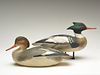Pair of decorative mergansers, Ward Brothers, Crisfield, Maryland.