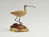 Miniature long billed curlew, Steve Weaver, Cape Cod, Massachusetts.