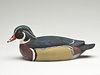 Wood duck drake, Pat Meneely, Minneapolis, Minnesota.