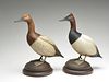 Excellent pair of full size standing canvasbacks, William Gibian, Onancock, Virginia.