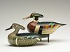 Pair of wood ducks, Otto Garren, Pekin, Illinois.