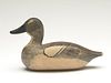 Bluewing teal hen, Wendell Smith, Chicago, Illinois, 2nd quarter 20th century.
