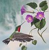 Don Balke (B. 1933) "Ruby-throated Hummingbird"