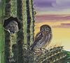 Don Balke (B. 1933) Elf Owl Perched in Saguaro