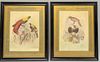 Pair of Hand Colored Ornithological Engravings