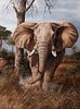 Trevor Swanson
(American, b. 1968)
Elephant