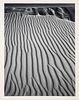 Ansel Adams
(American, 1902-1984)
Sand Dunes, Oceano, California, 1950