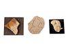 Two Egyptian Relief Fragments and a Mask Fragment, All After the Antique 