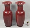 Pair Large Chinese Peachbloom Glazed Vases