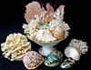 Ironstone Compote with Seashell Collection