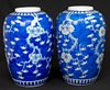 Pair of Chinese Porcelain Jars