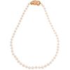 CHOKER WITH CULTURED PEARLS WITH 14K YELLOW GOLD CLASP WITH CORAL AND DIAMONDS 1 pink coral and 27 diamonds