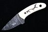 M.T. Knives Elk Antler Scrimshaw Damascus Knife