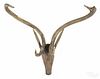 Carved and painted stag head, 19th c., with ant