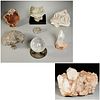 Mineral specimen collection