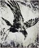 Colin Davis "Celtic Crow" Monoprint on Aluminum