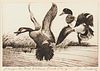 Jay Norwood Darling First Federal Duck Stamp & Etching