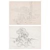 Grp: 2 Walter Griffin Landscape Drawings
