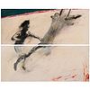 Gary Hall Diptych Acrylic & Graphite on Canvas