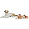 Royal Doulton Dog Porcelain Figurine Grouping Set