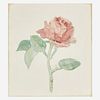 Albert York (American, 1928–2009) Pink Rose on a Yellow Ground