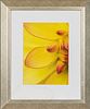 Three Framed Photo-reproductions of Flower Details